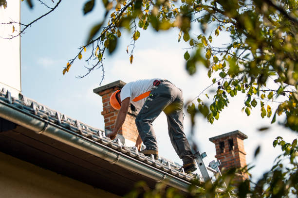 Best Gutter Installation and Roofing  in Mckinleyville, CA