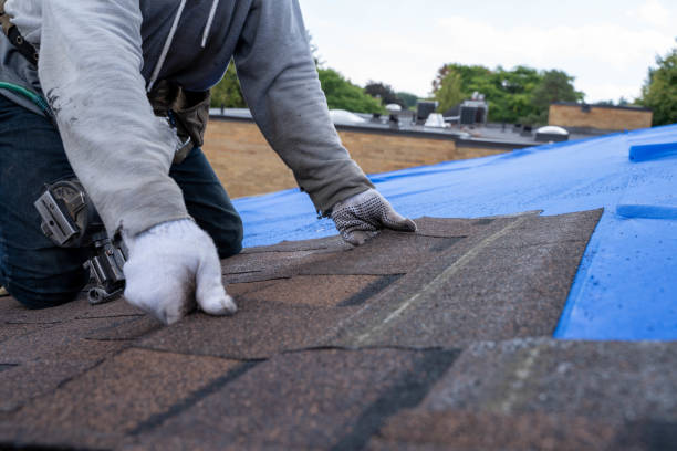 Best Roof Leak Repair  in Mckinleyville, CA