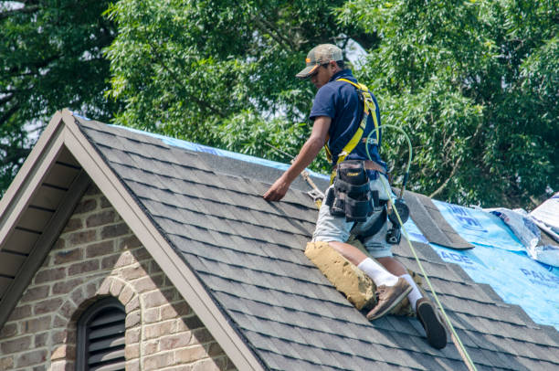 Best Affordable Roofing Company  in Mckinleyville, CA